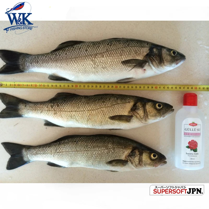 Seabass Fishing Lure Kit at 6cm 7.5cm 9cm 11.5cm 14.5cm Soft Lure Paddle Tail with Kinds Jig Head Inshore Jigging Soft Bait