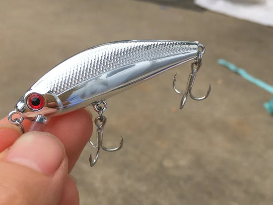 Leurre Jerkbait Wobbler 6,7cm 10g