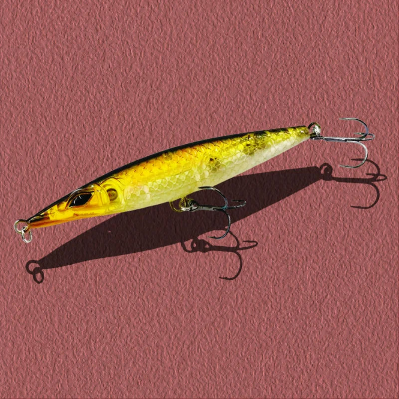 Asturies WTD 90/110/130mm – Stickbait Topwater Longue Portée