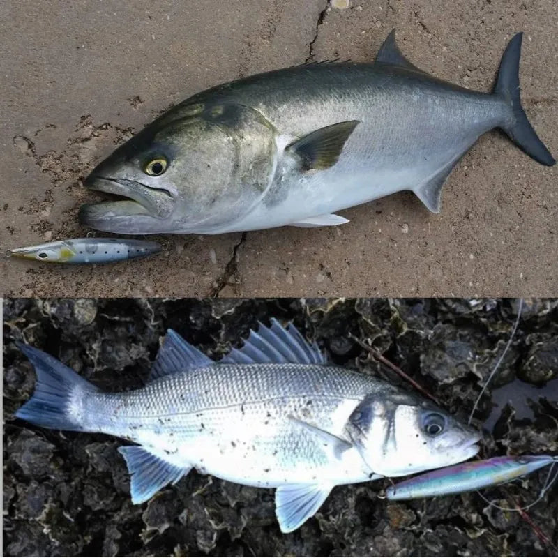 12/16/26g Asturies WTD Long Casting Stickbait 90/110/130mm Topwater Artificial Wobbler Fishing Lure for Pesca Seabass Tuna Trout